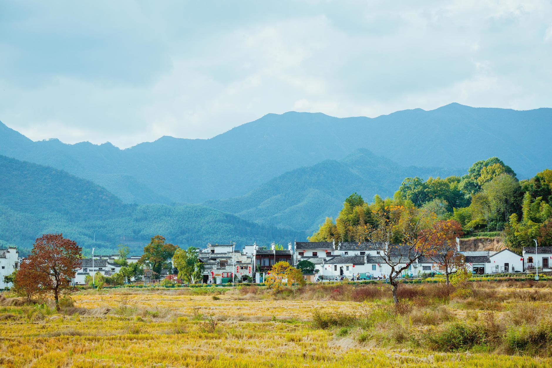 寻味安徽，探访合肥小巷深处的特色小店