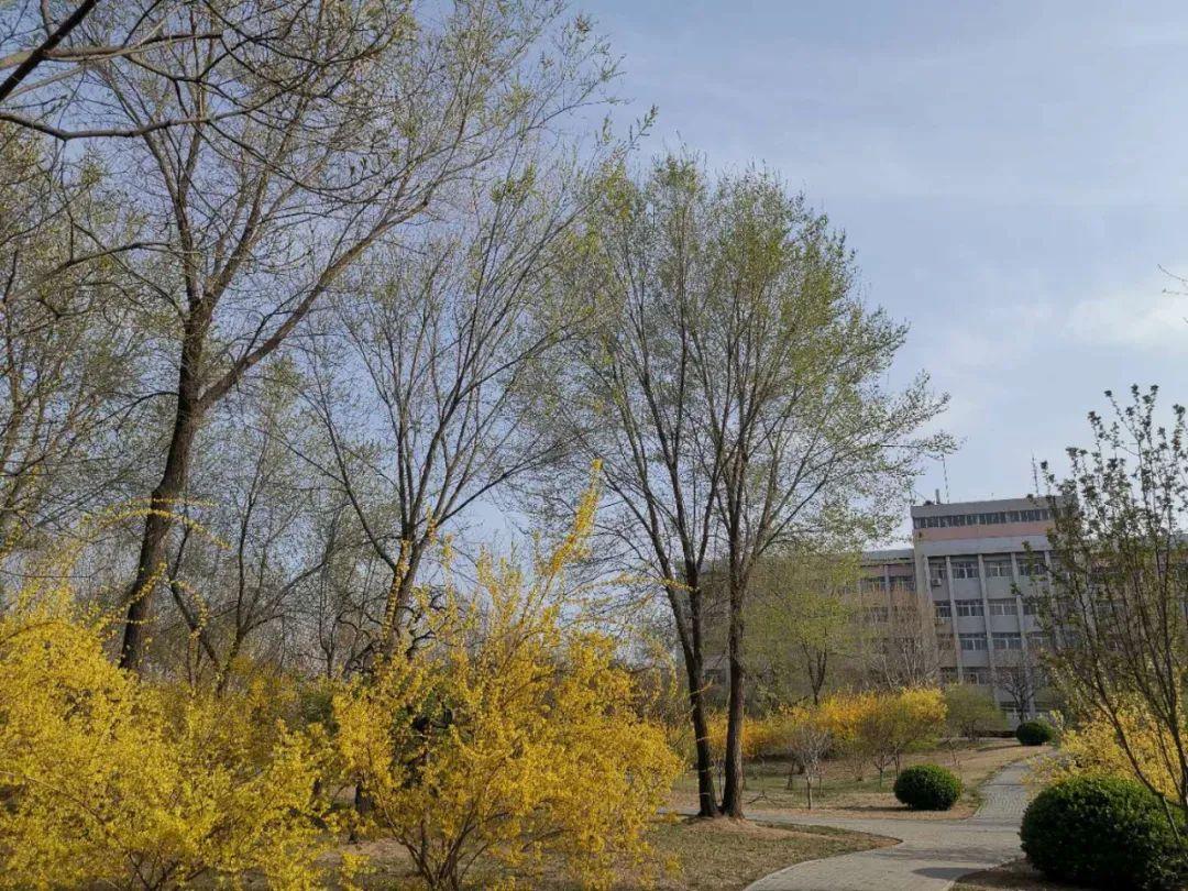 廊坊,梦想启航的廊坊,未来之城等你发现